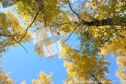 Image of Beautiful autumn time