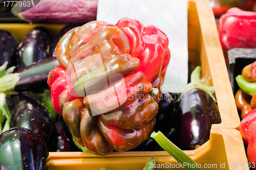 Image of Unusual big paprika and eggplants