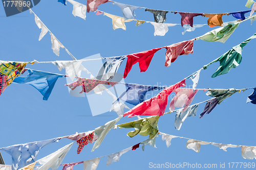 Image of Multicolored shirts hanging