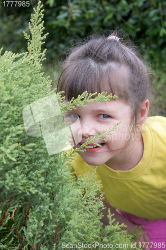 Image of Little girl playing in hide-and-seek