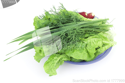 Image of Green-stuff on a plate