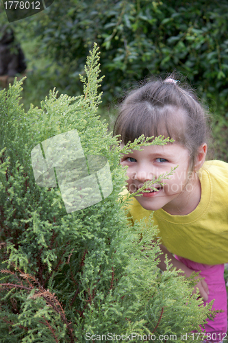 Image of Little girl playing in hide-and-seek