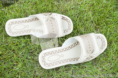 Image of Sandals on the lawn