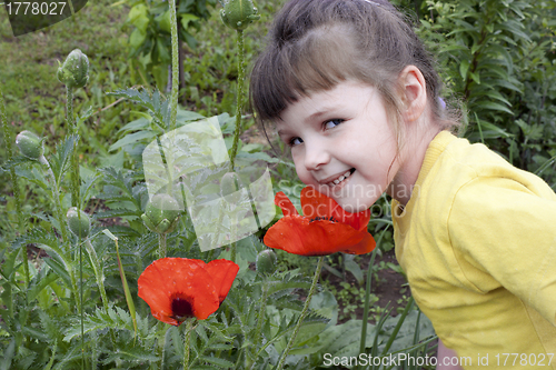 Image of Baby girl and red poppies 