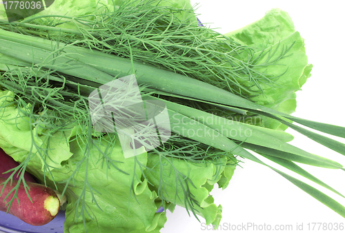 Image of Green-stuff on a plate