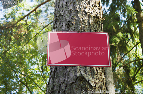 Image of Red metal plate in wood