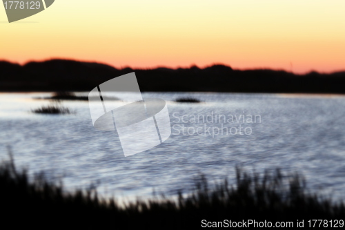 Image of Wetland