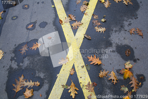 Image of No parking