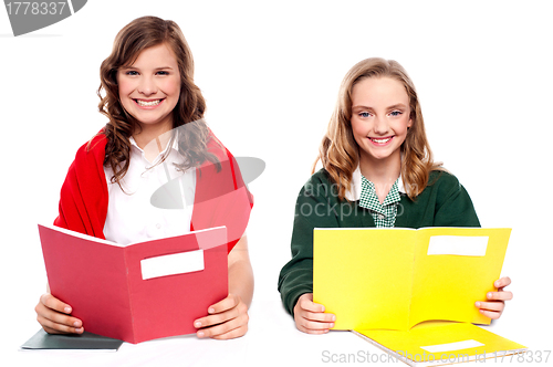 Image of Smiling girl learning from school books