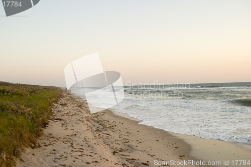 Image of Beach