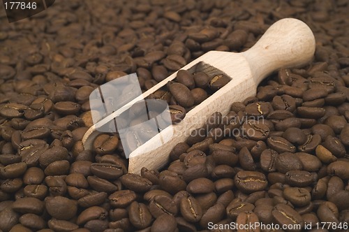 Image of Coffee beans