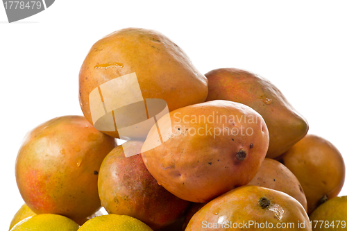 Image of Pile of Mangos