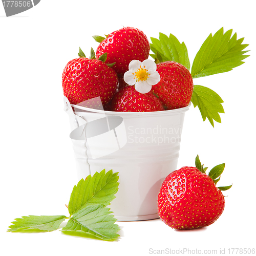 Image of bucket with fresh strawberry on the isolated white