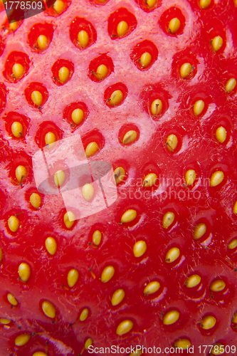 Image of Detailed surface shot of a fresh strawberry