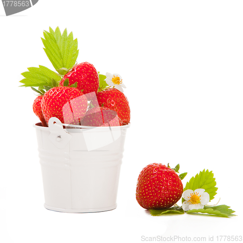 Image of bucket with fresh strawberry on the isolated white