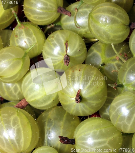 Image of gooseberries