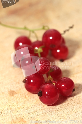 Image of red currants