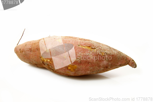 Image of Sweet potato isolated on white background