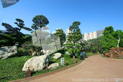 Image of Chinese style garden