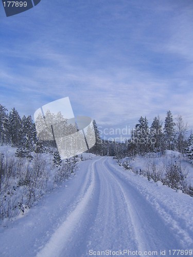 Image of Winter road