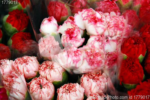 Image of Roses in market for sales