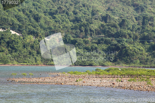 Image of Wetland along the coast