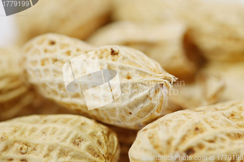 Image of Peanuts isolated on white background