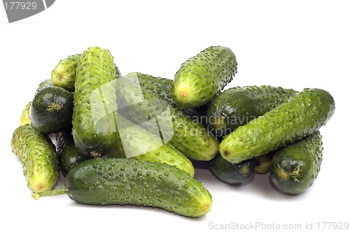Image of Cucumber