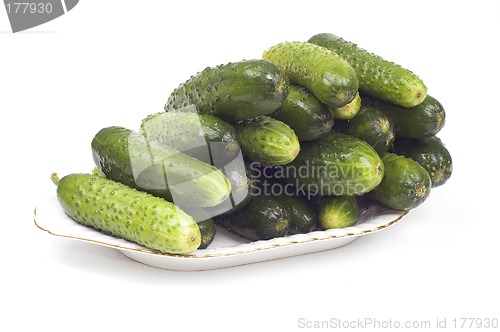 Image of Green cucumber