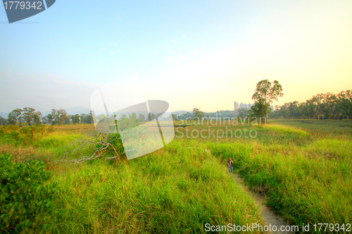 Image of Wetland in Hong Kong, HDR image.