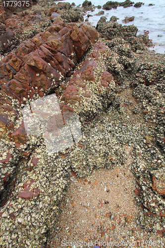 Image of Sedimentary rocks in Hong Kong Geo Park