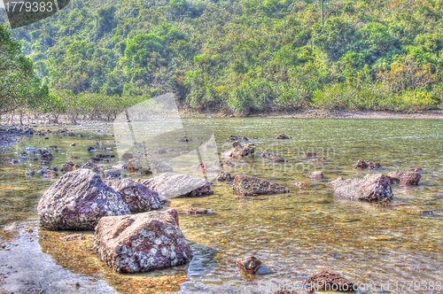 Image of Wetland in Hong Kong, HDR image.