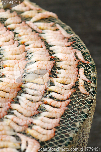 Image of Dried shrimps in Chinese culture