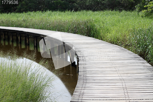 Image of Wooden path in countryside