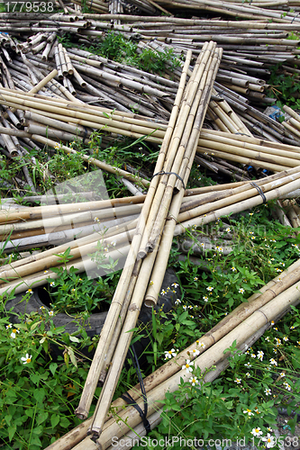 Image of Bundle of bamboo stalks on the floor