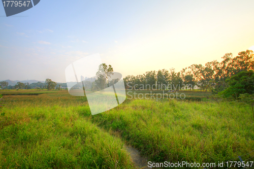 Image of Wetland in Hong Kong, HDR image.