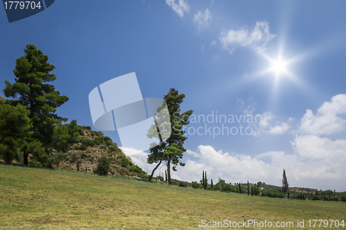 Image of sunny landscape