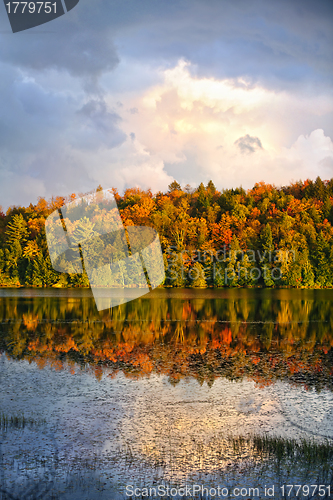 Image of Fall forest and lake