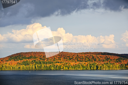Image of Fall forest and lake