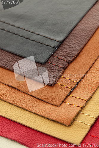 Image of Leather upholstery samples