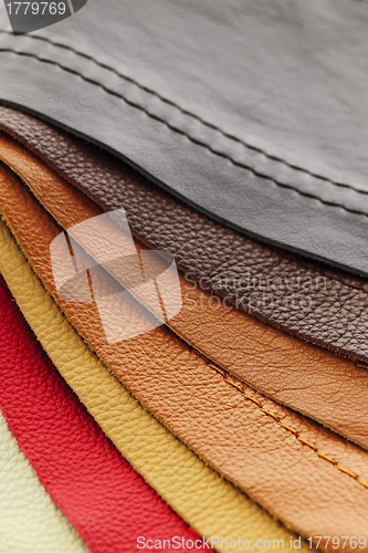 Image of Leather upholstery samples