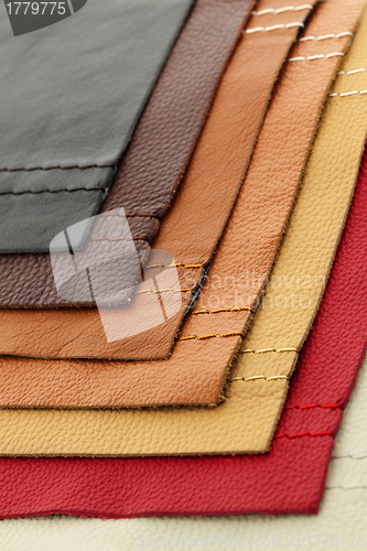 Image of Leather upholstery samples