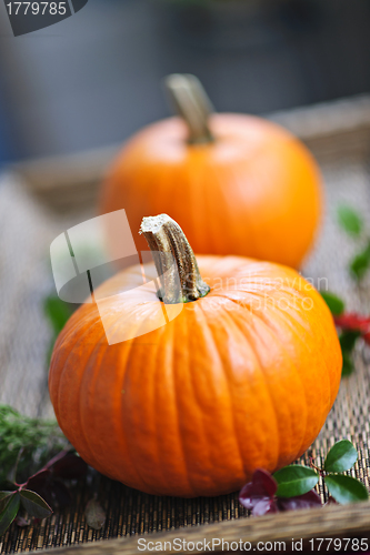 Image of Pumpkins