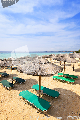 Image of Beach umbrellas on sandy shore