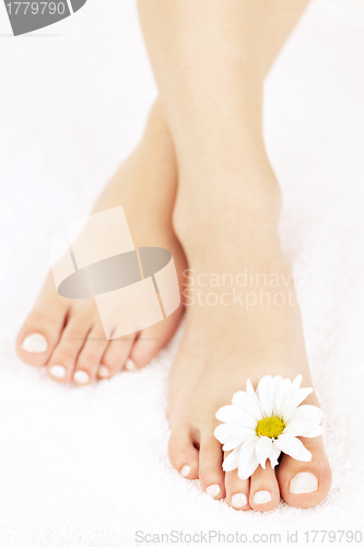 Image of Female feet with pedicure