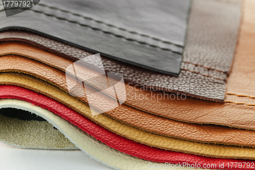 Image of Leather upholstery samples