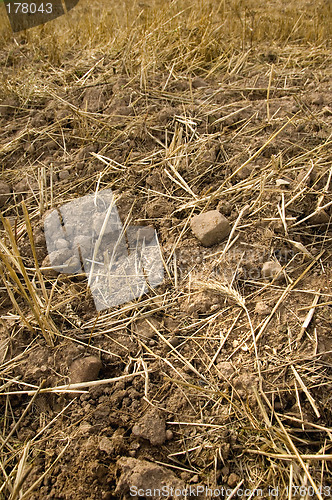 Image of Stony