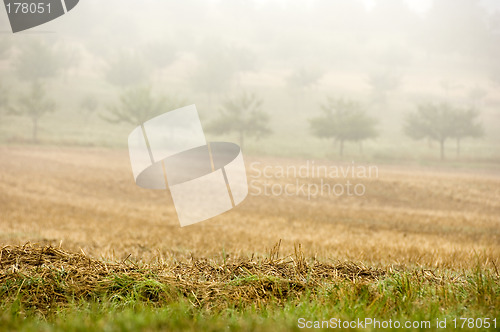 Image of Stubble mulch