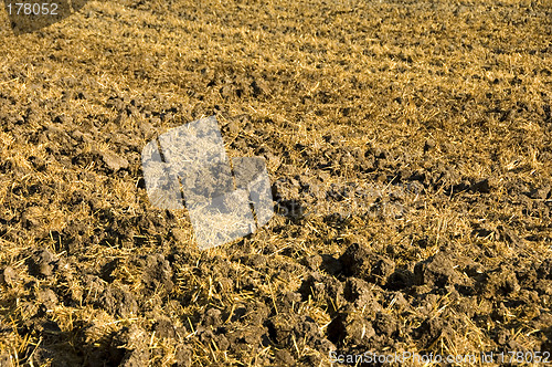 Image of Stubble mulch