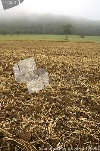 Image of Stubble mulch